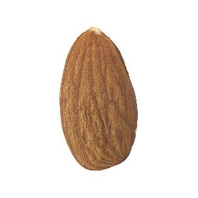 Highly Detailed Almond Scan 3D model